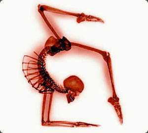 Yoga Retreat and Health Benefits