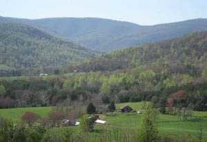 Integral Yoga Retreats