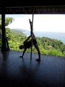 Bird of Paradise Pose
