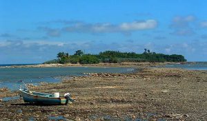 Cabuya Island