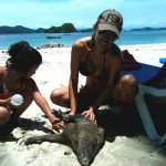 Jennifer Santiago at Tortuga Island with Peccary