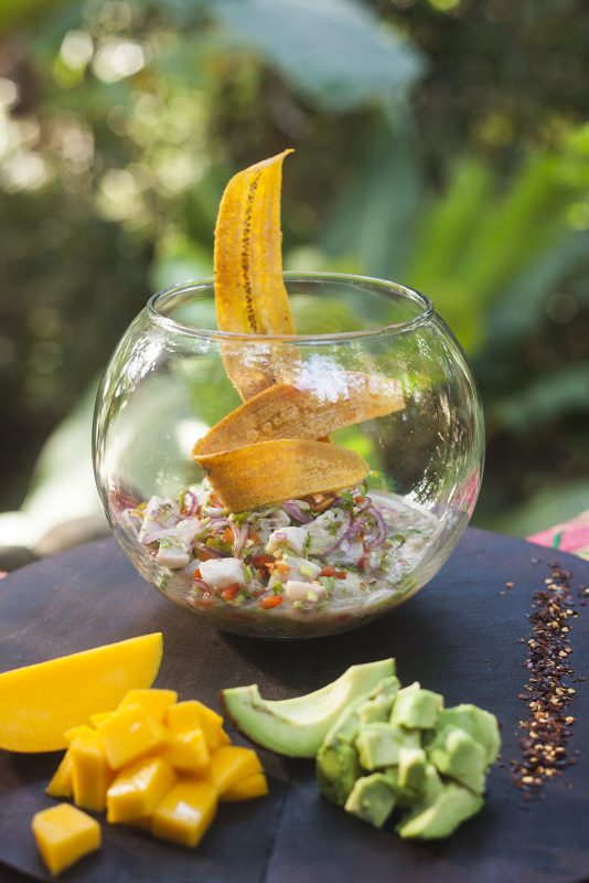 Tropical Ceviche